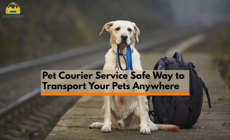 Pet Courier Services