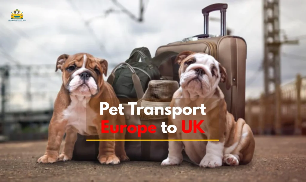 pet transport Europe to UK