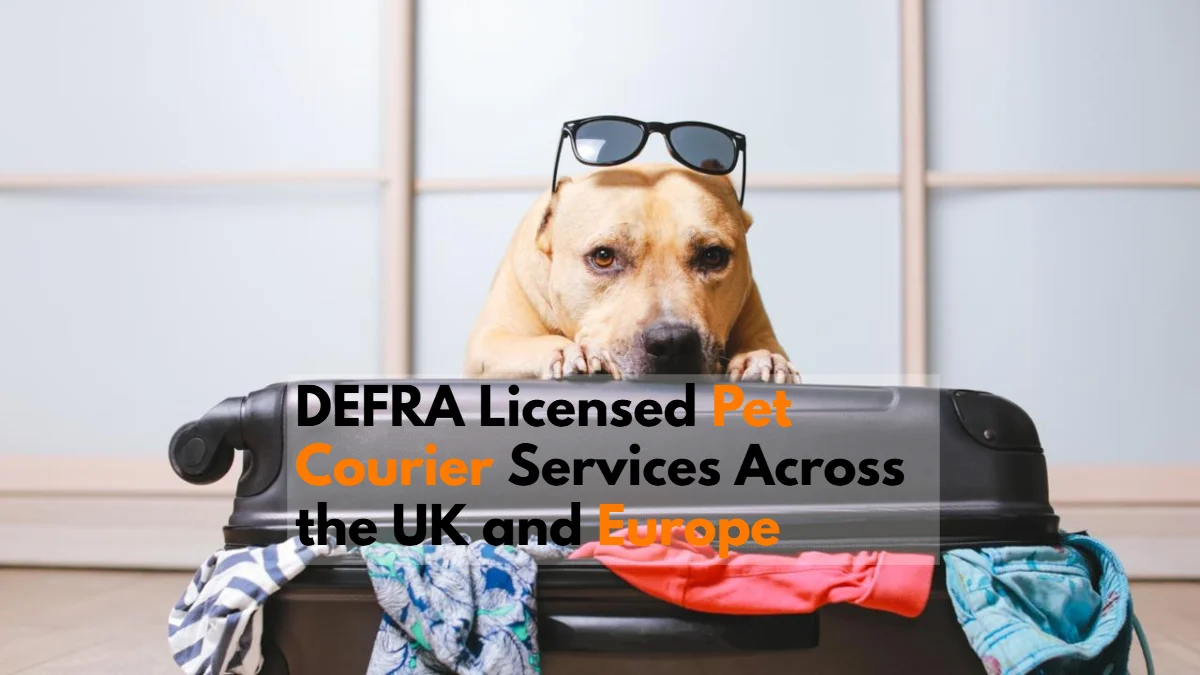 DEFRA Licensed Pet Courier Services Across the UK and Europe