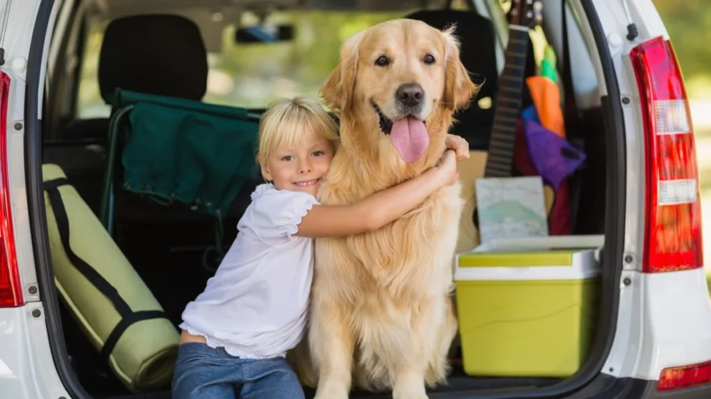 pet taxi France to Dover