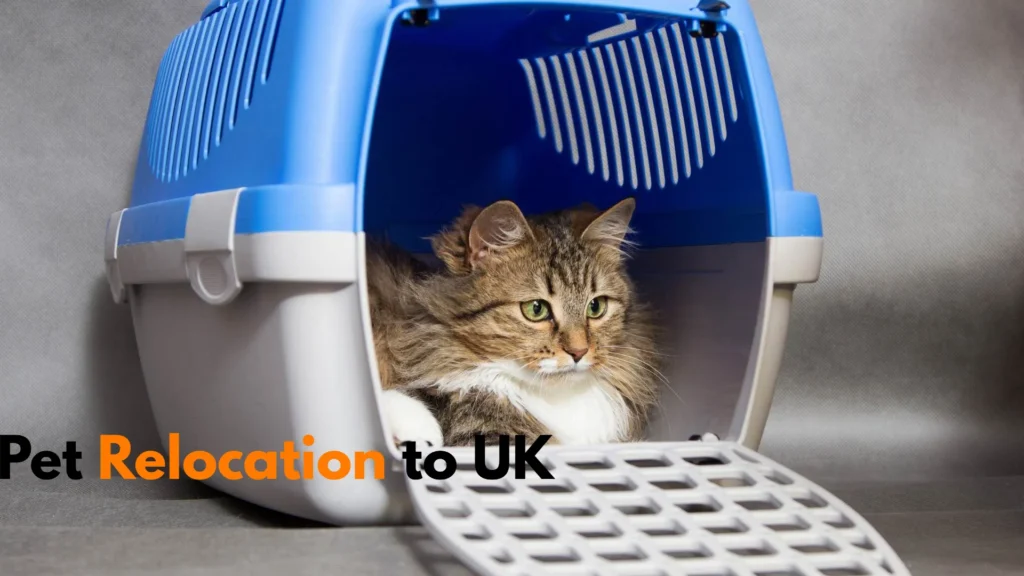 pet relocation to UK