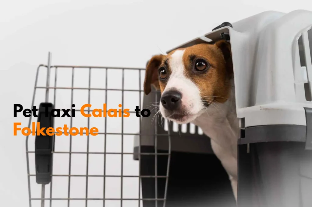 pet taxi Folkestone to Calais