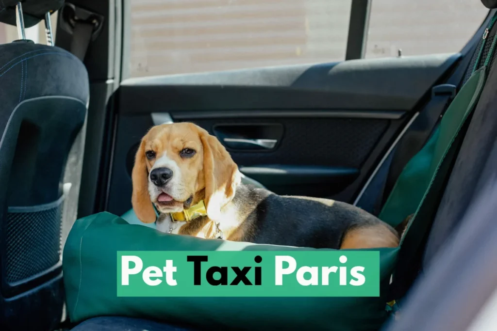 pet taxi Paris