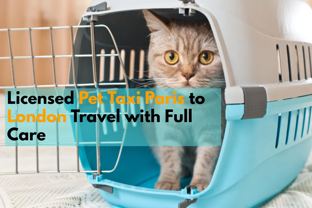 Pet Taxi Paris to London