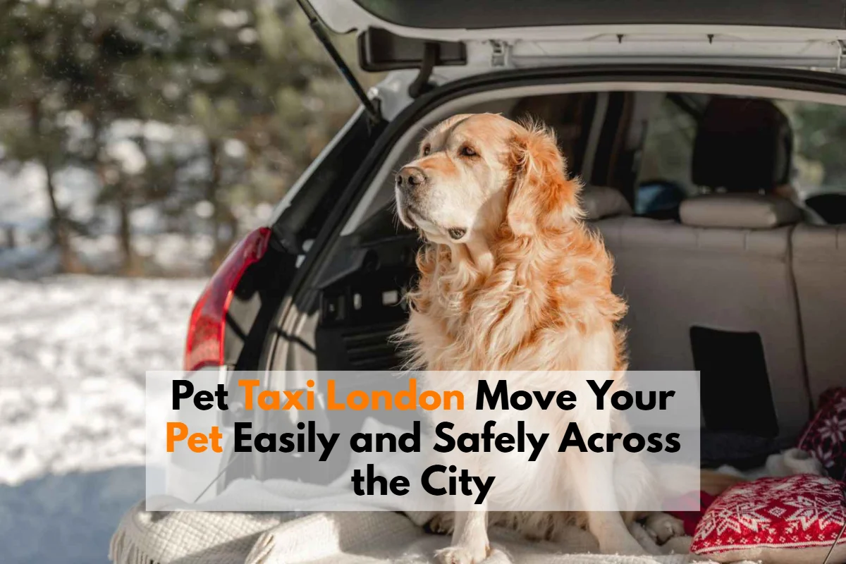 pet taxi London