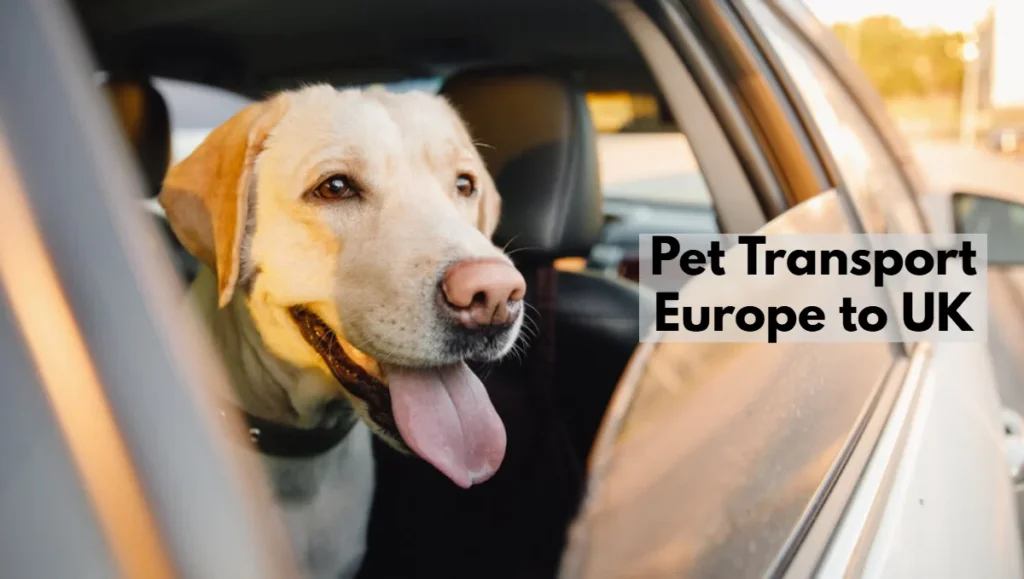 pet taxi Europe to UK