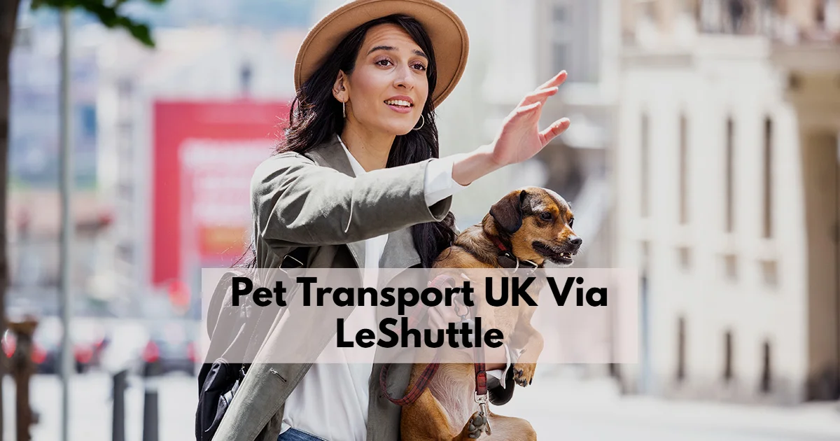 Pet Transport UK Via LeShuttle