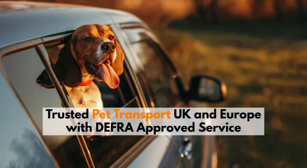 trusted pet transport UK