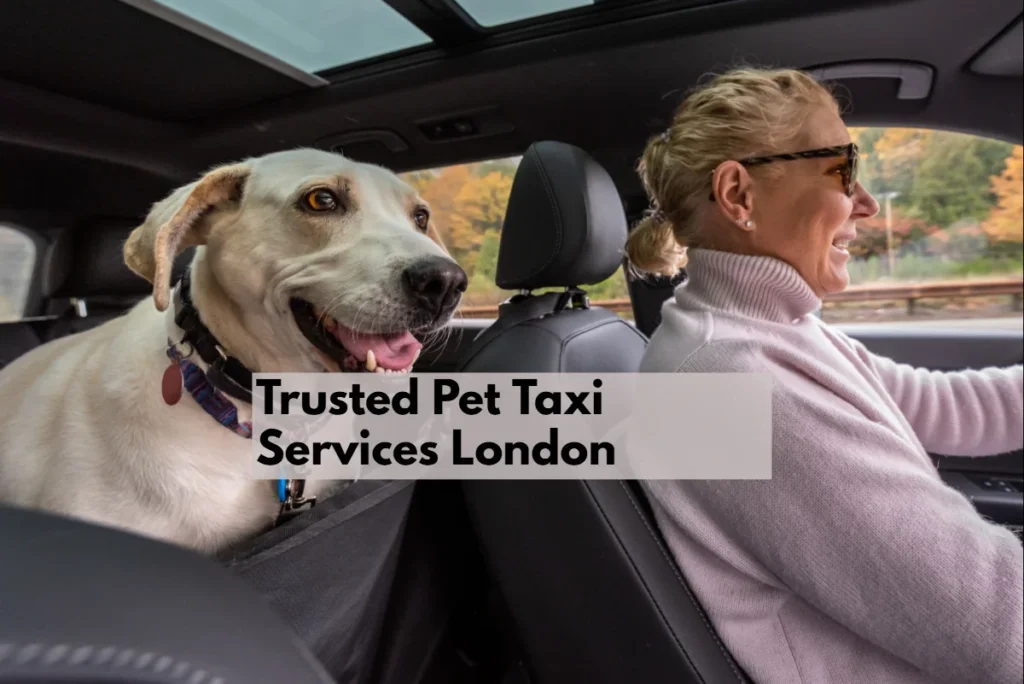 pet taxi London