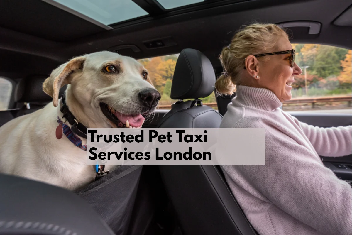 pet taxi London