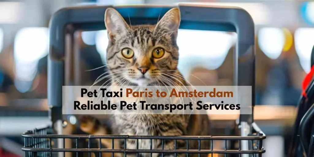 pet taxi Paris to Amsterdam