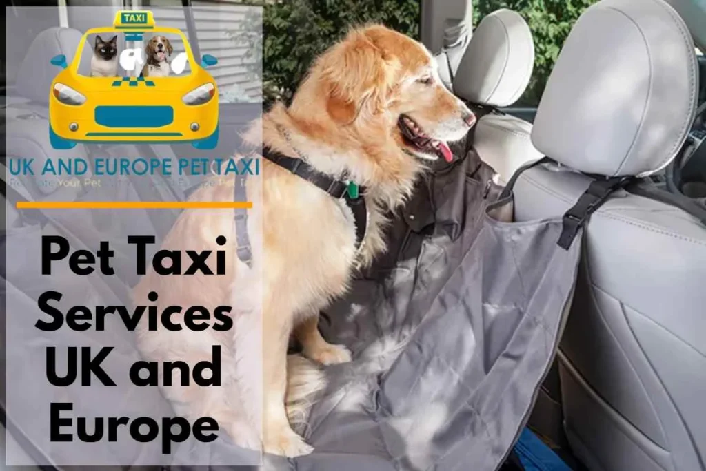 pet taxi services