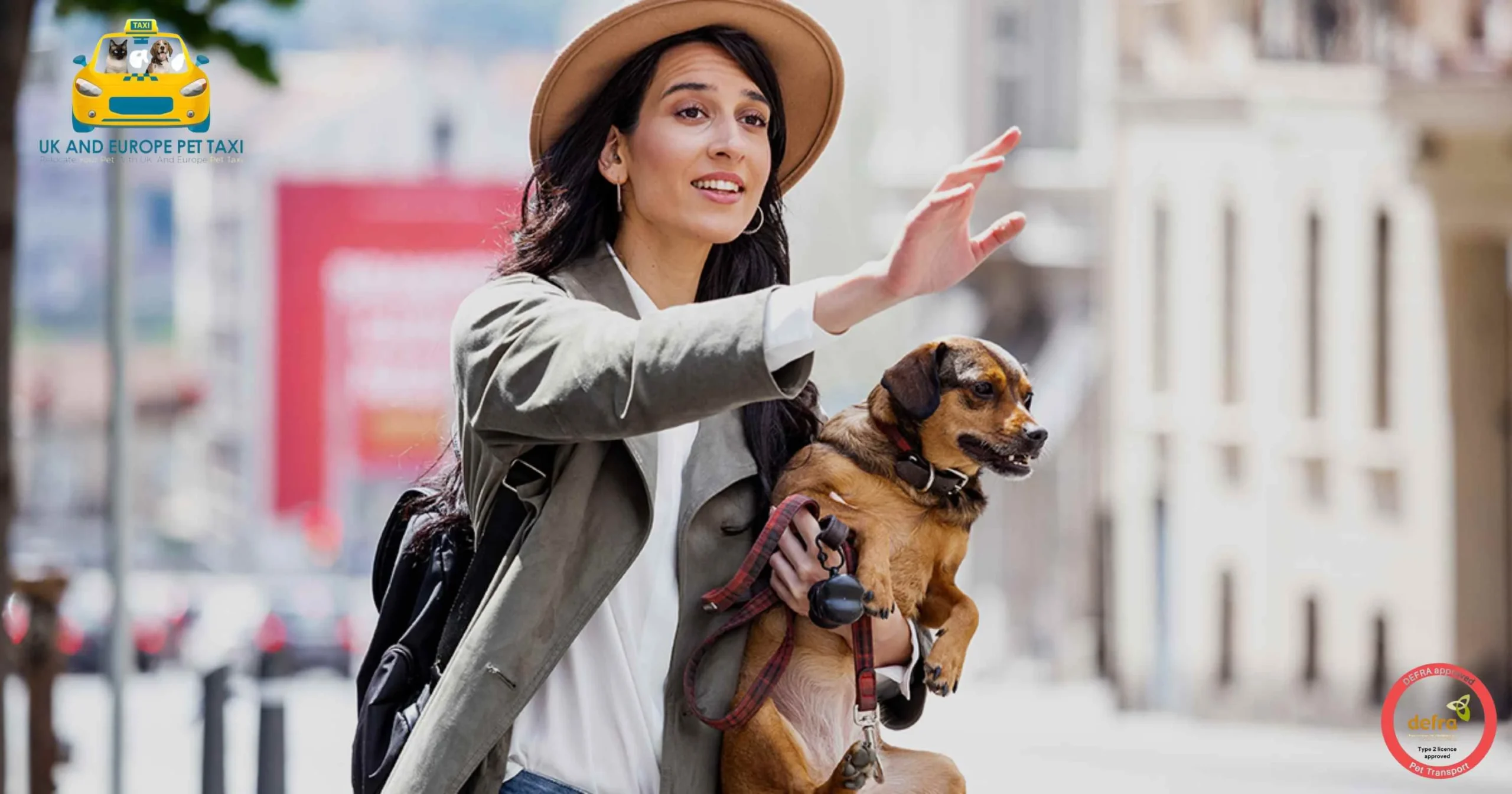 pet transportation