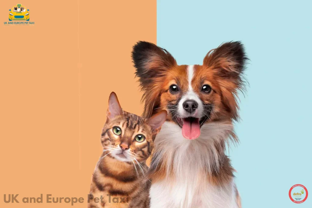 pet taxi UK