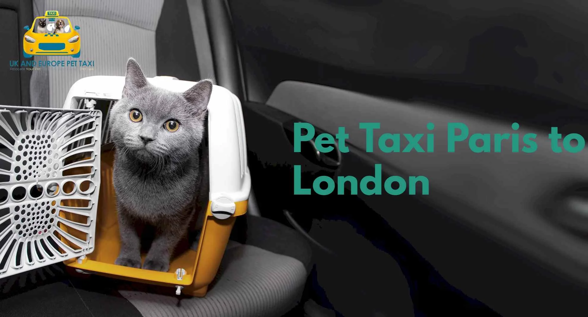 Best and Trusted Pet Taxi Paris to London