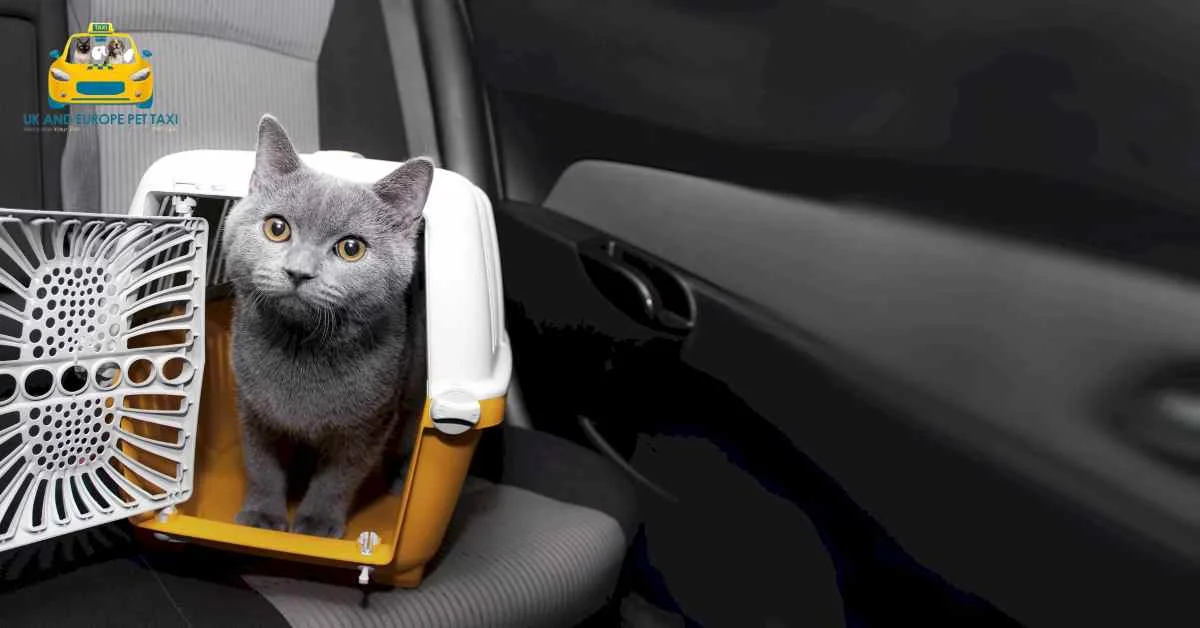 No.1 Best Reliable Pet Transport Europe to UK