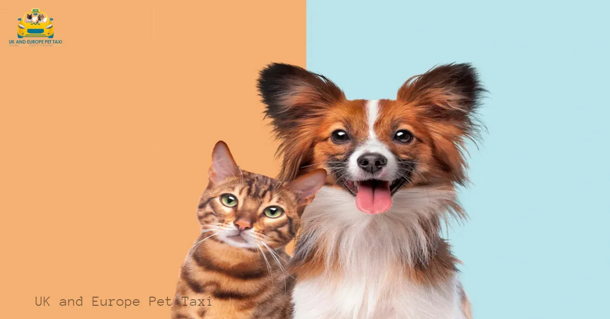 pet taxi Paris to London