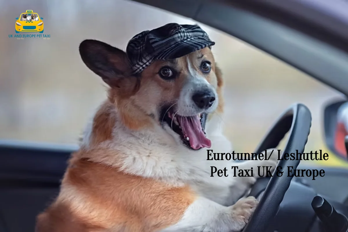 Eurotunnel / LeShuttle Pet Taxi UK and Europe