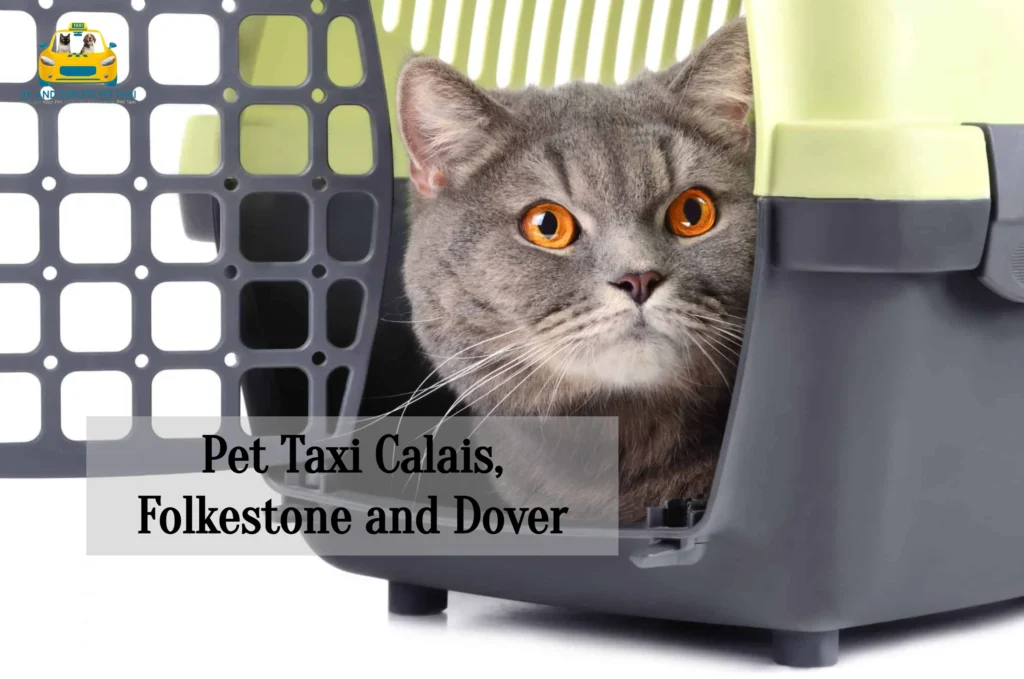 Leshuttle Pet Taxi Calais to Folkestone and Dover