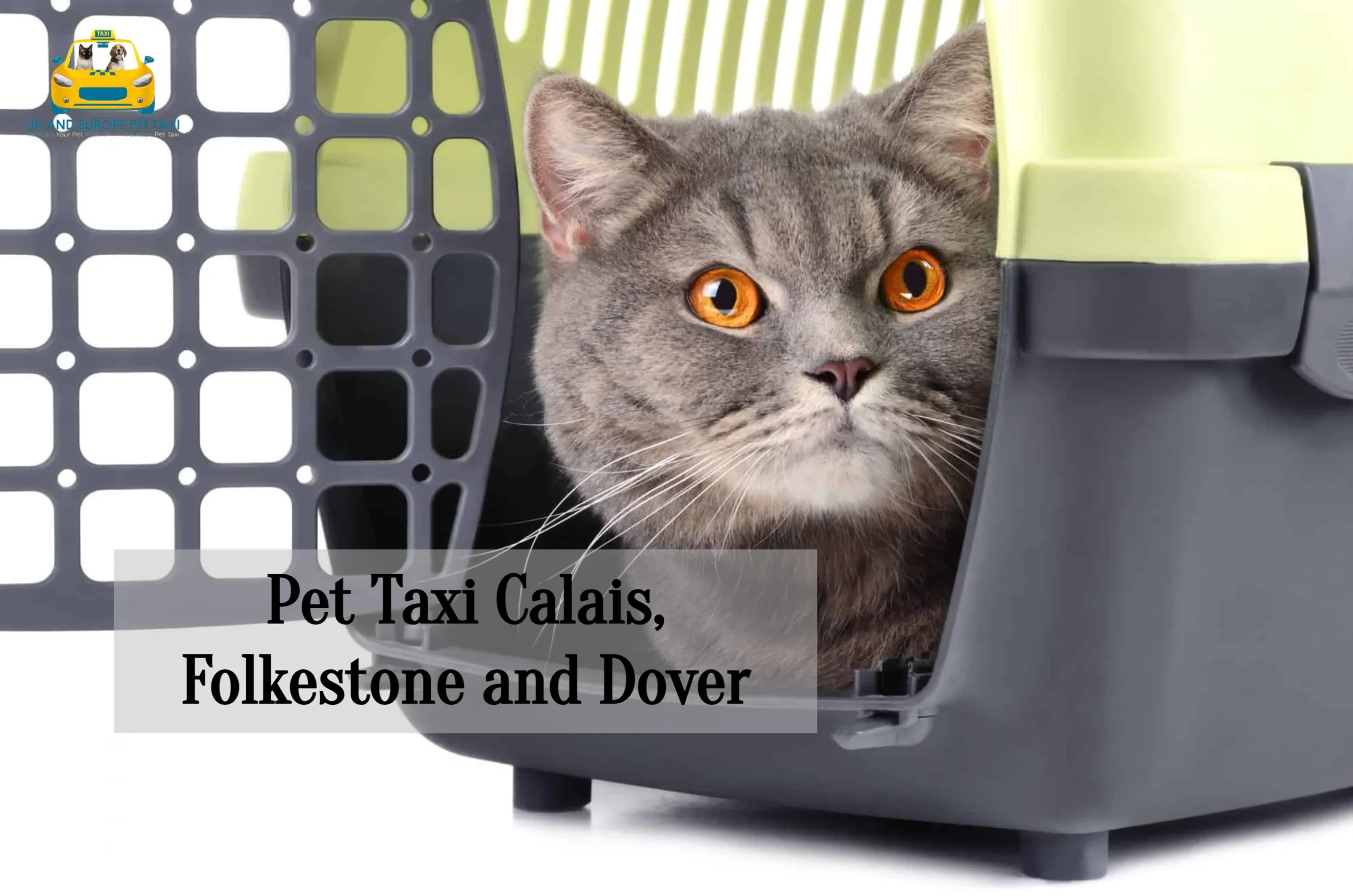Leshuttle Pet Taxi Calais to Folkestone and Dover