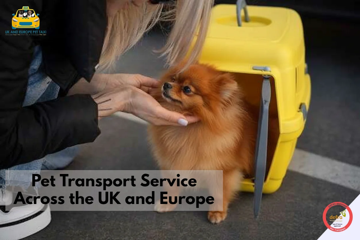 pet transport services