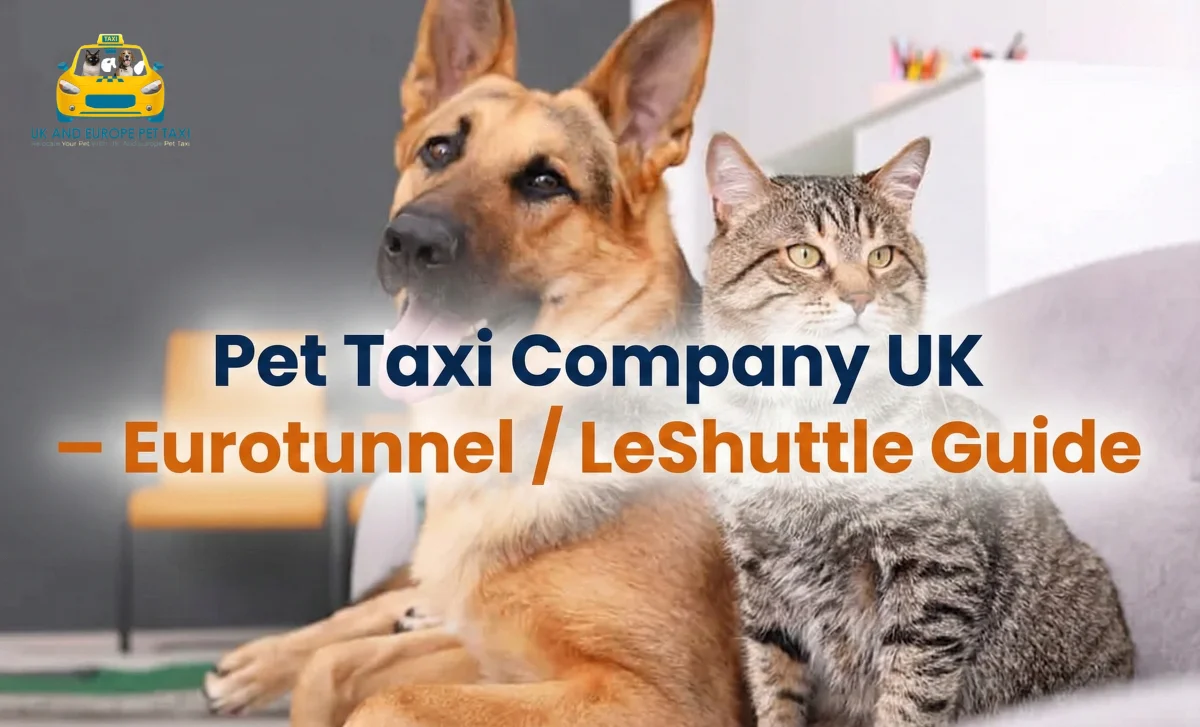 pet taxi company UK