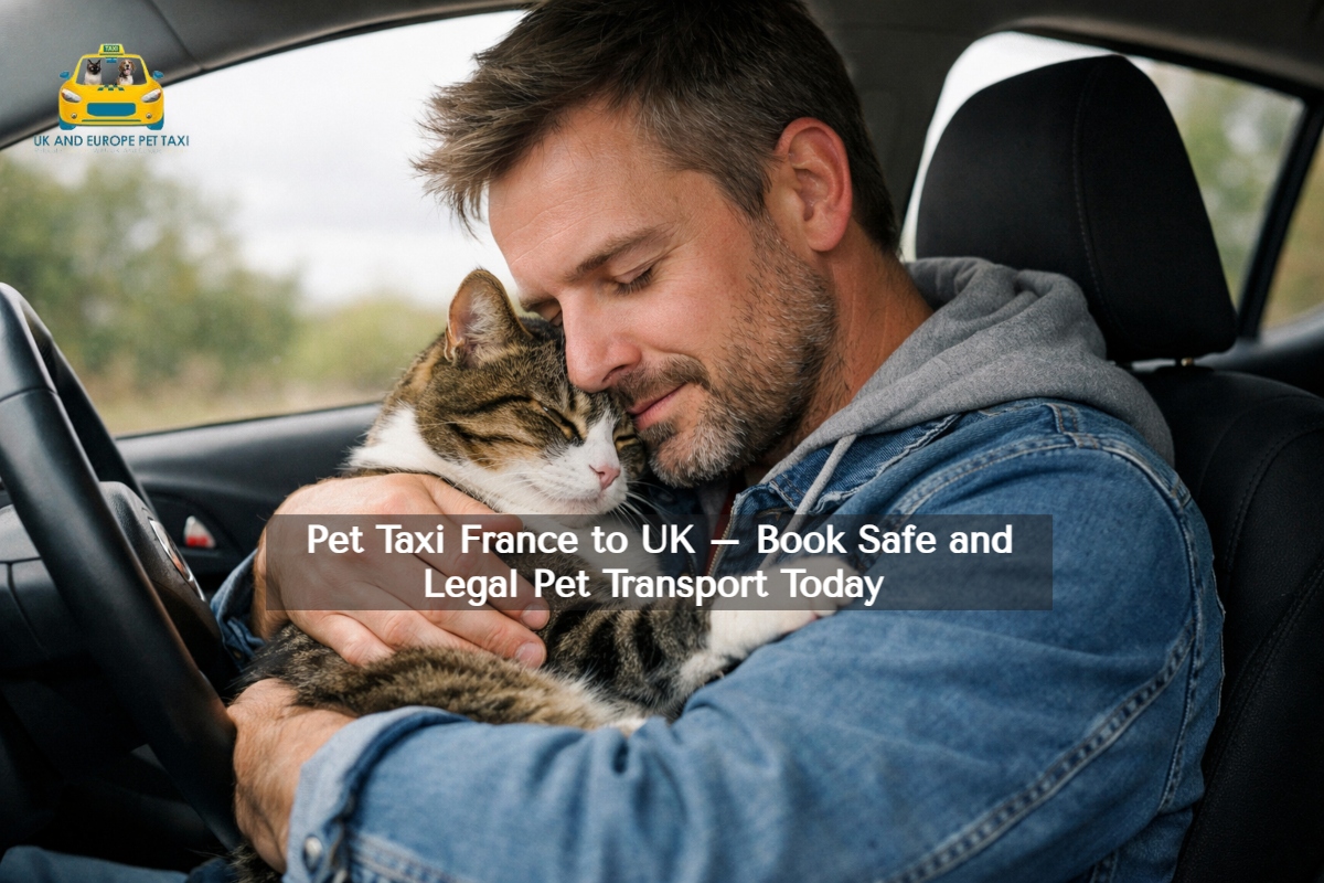 pet taxi France to UK