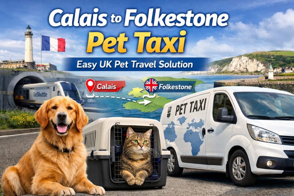 pet taxi Calais